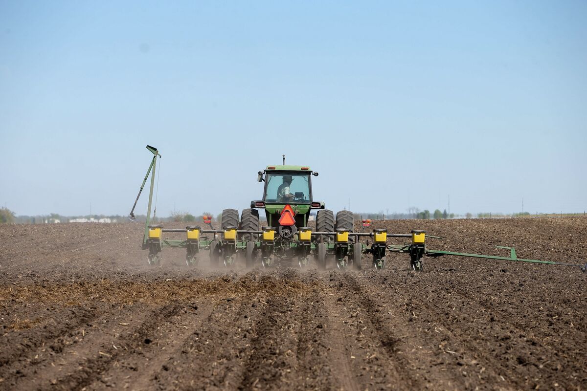 ⚫️ BLOOMBERG: "Agricoltori di soia negli USA a rischio: guerra commerciale con la Cina minaccia la loro sopravvivenza"