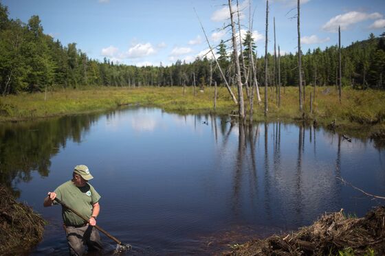 Buying 87,000 Acres of Land Was Easy. Giving It Away Was a Lot Harder