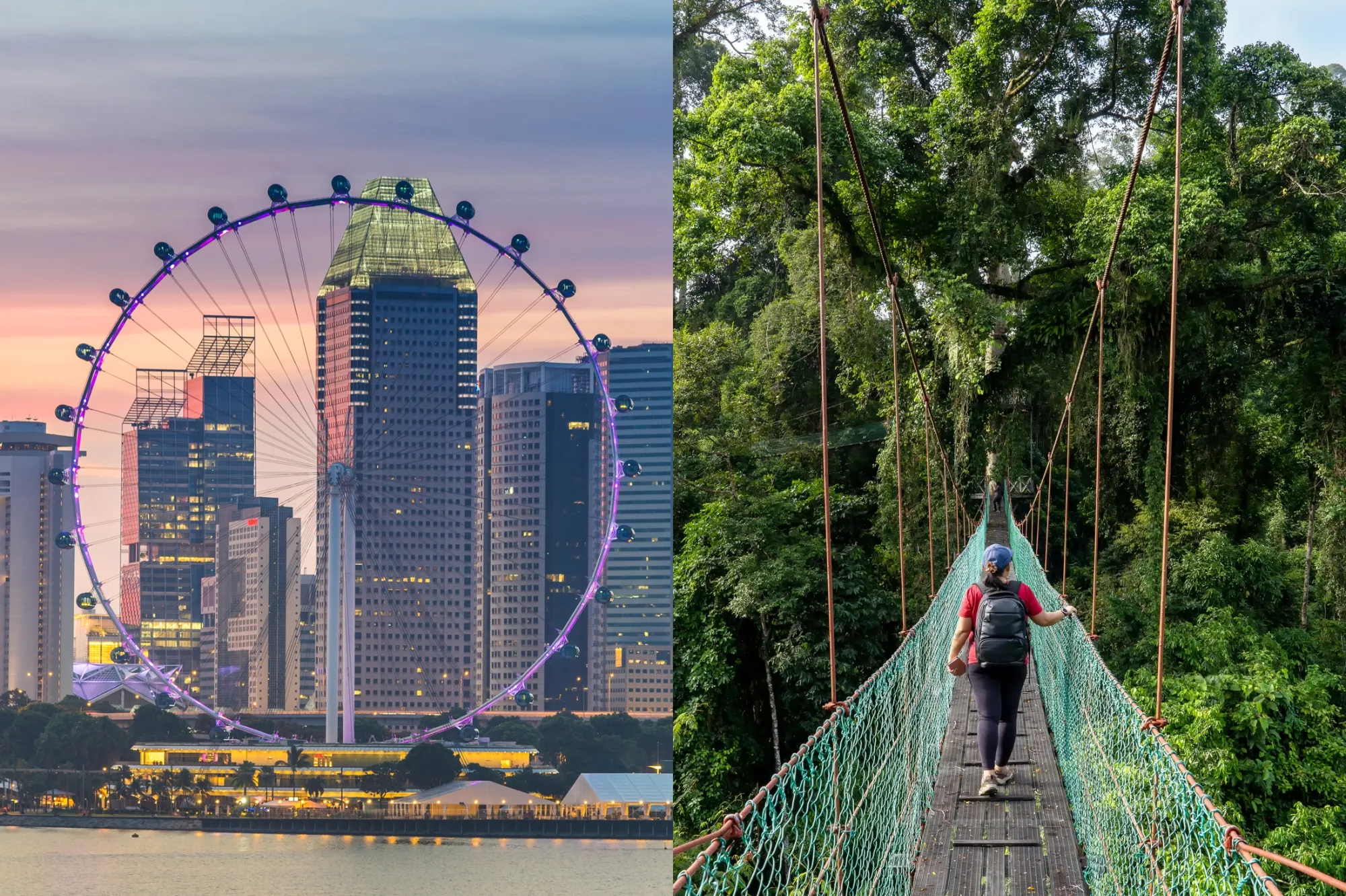 From New York to Singapore, Our Social Life Is Shaped By Food and Dining -  Bloomberg
