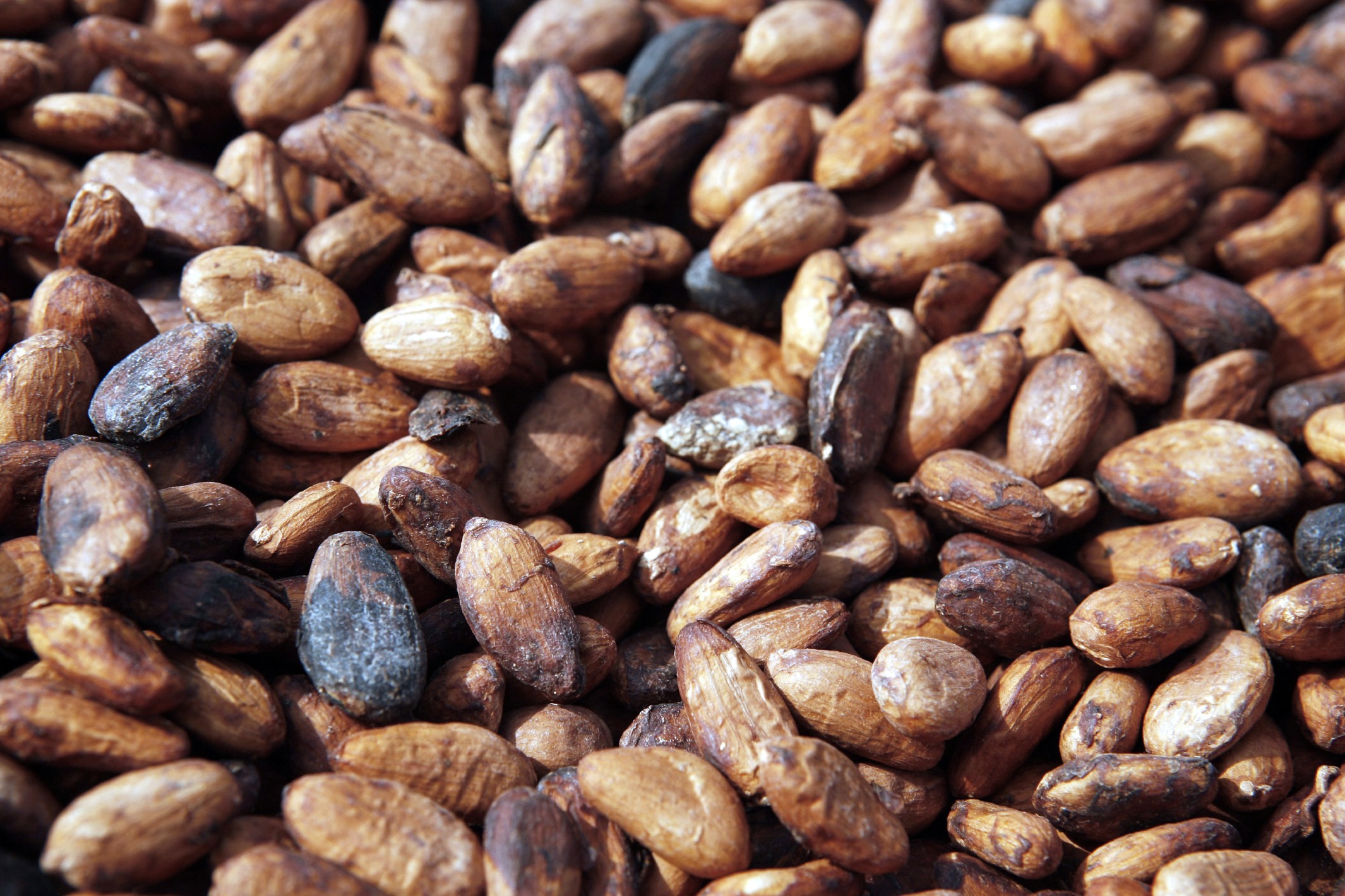 Ghana Cocoa Board ExCEO Charged for Causing Losses to State Bloomberg