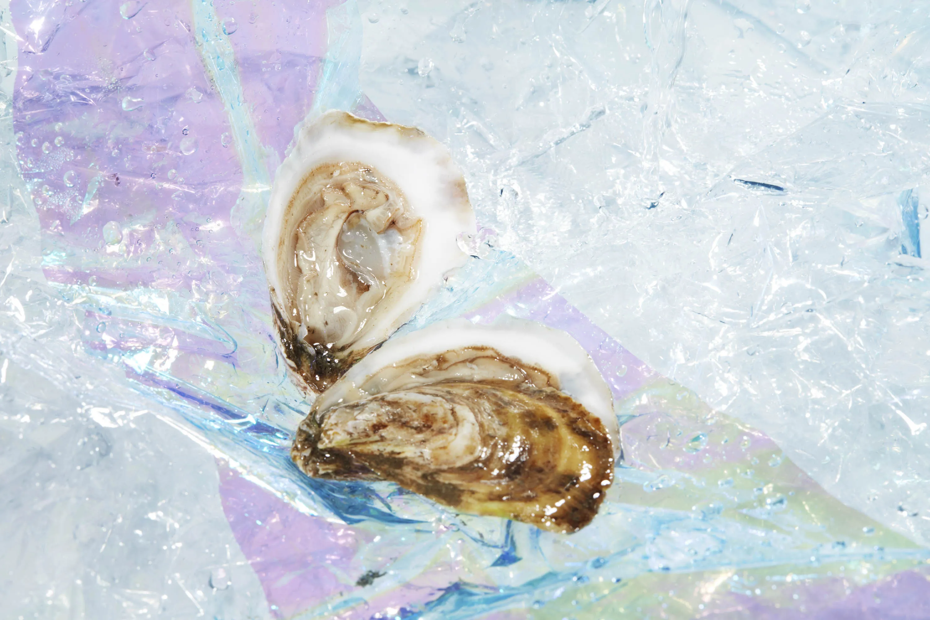 Best Oysters to Follow Kumamotos: Nonesuch, Peconic Gold, Kusshi - Bloomberg
