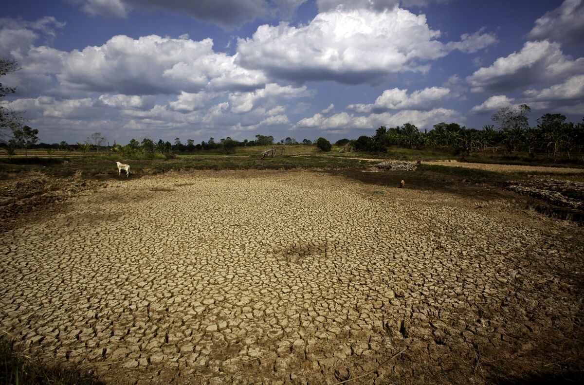 One-two punch: farming, global warming destroying unique East