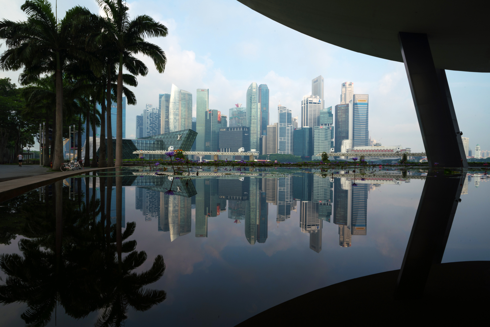 Commercial buildings in the central business district are reflected on a pond in Singapore.