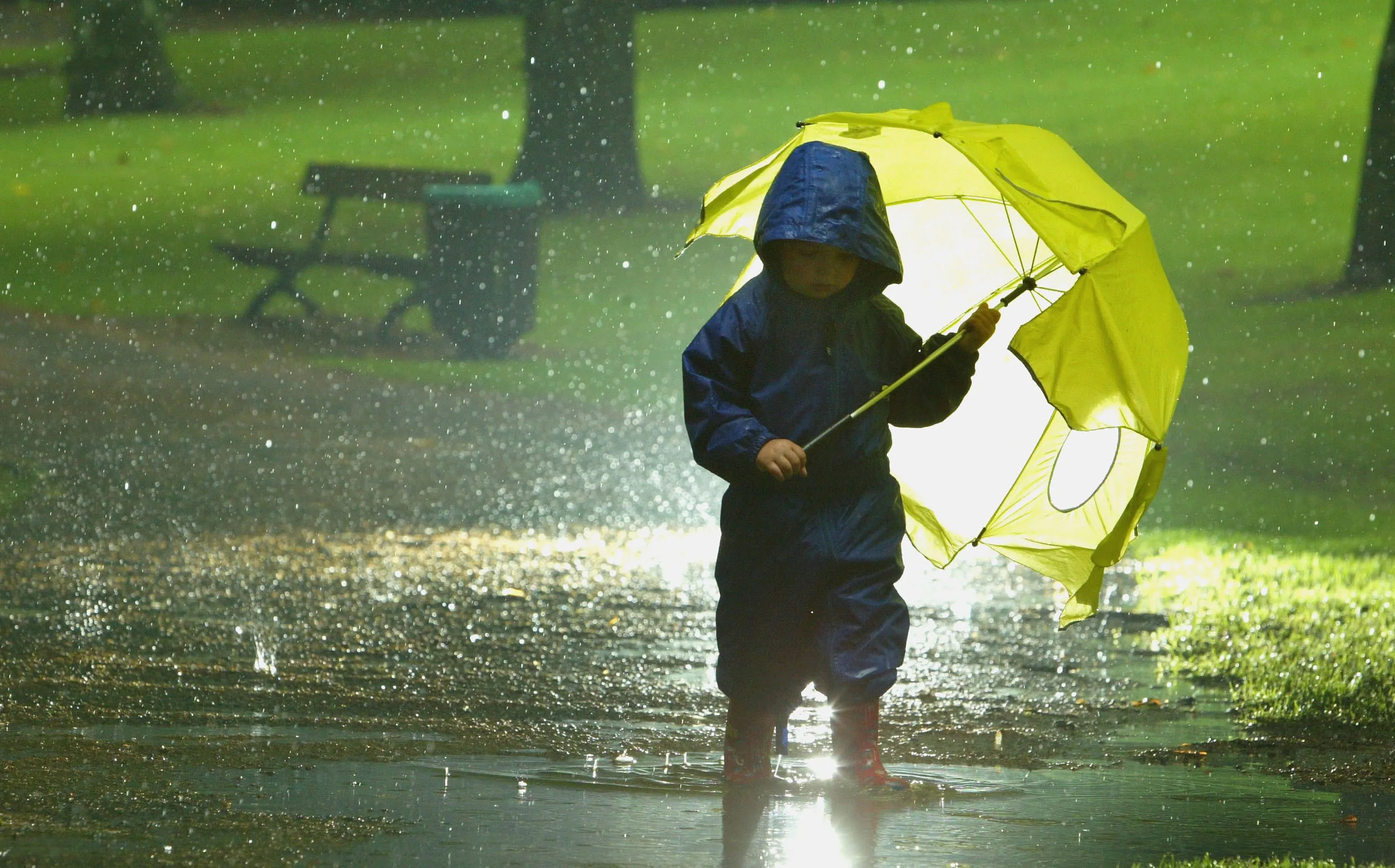 Reach for the umbrella.
