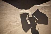 Winter Barley Is Unloaded At The Port