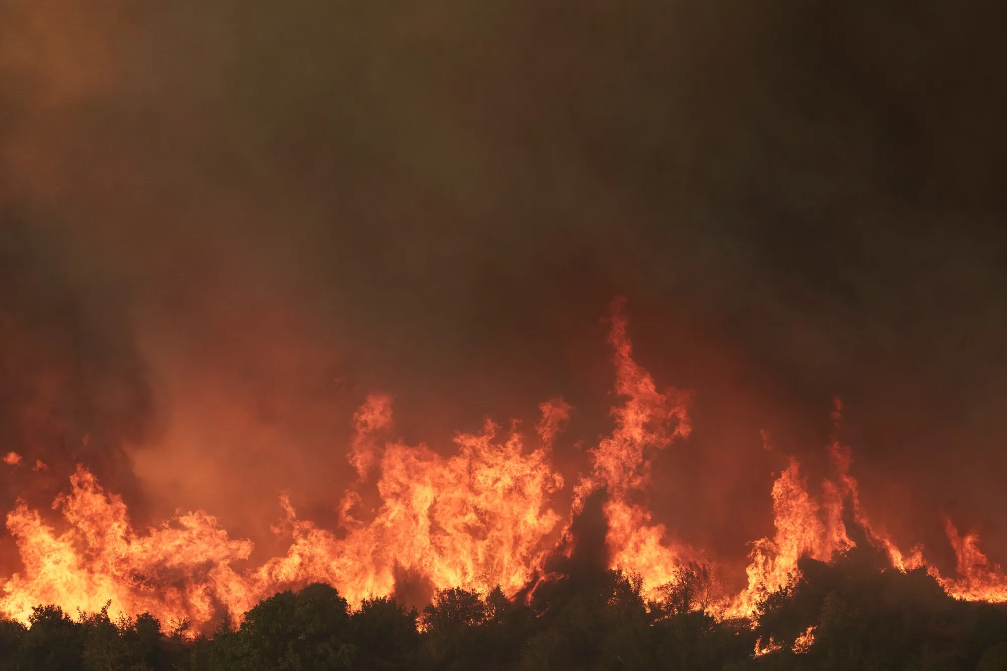 The earth is burning.&nbsp;