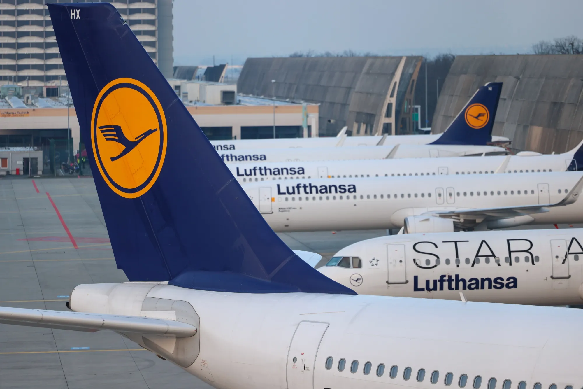 Deutsche Lufthansa passenger jets at&nbsp;Frankfurt Airport.
