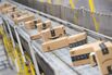 Amazon packages.