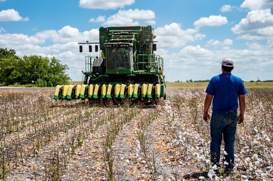 Trade War’s Forgotten Farmers Get Crushed in U.S. Cotton Country