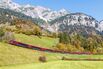 PURSUITS_trains