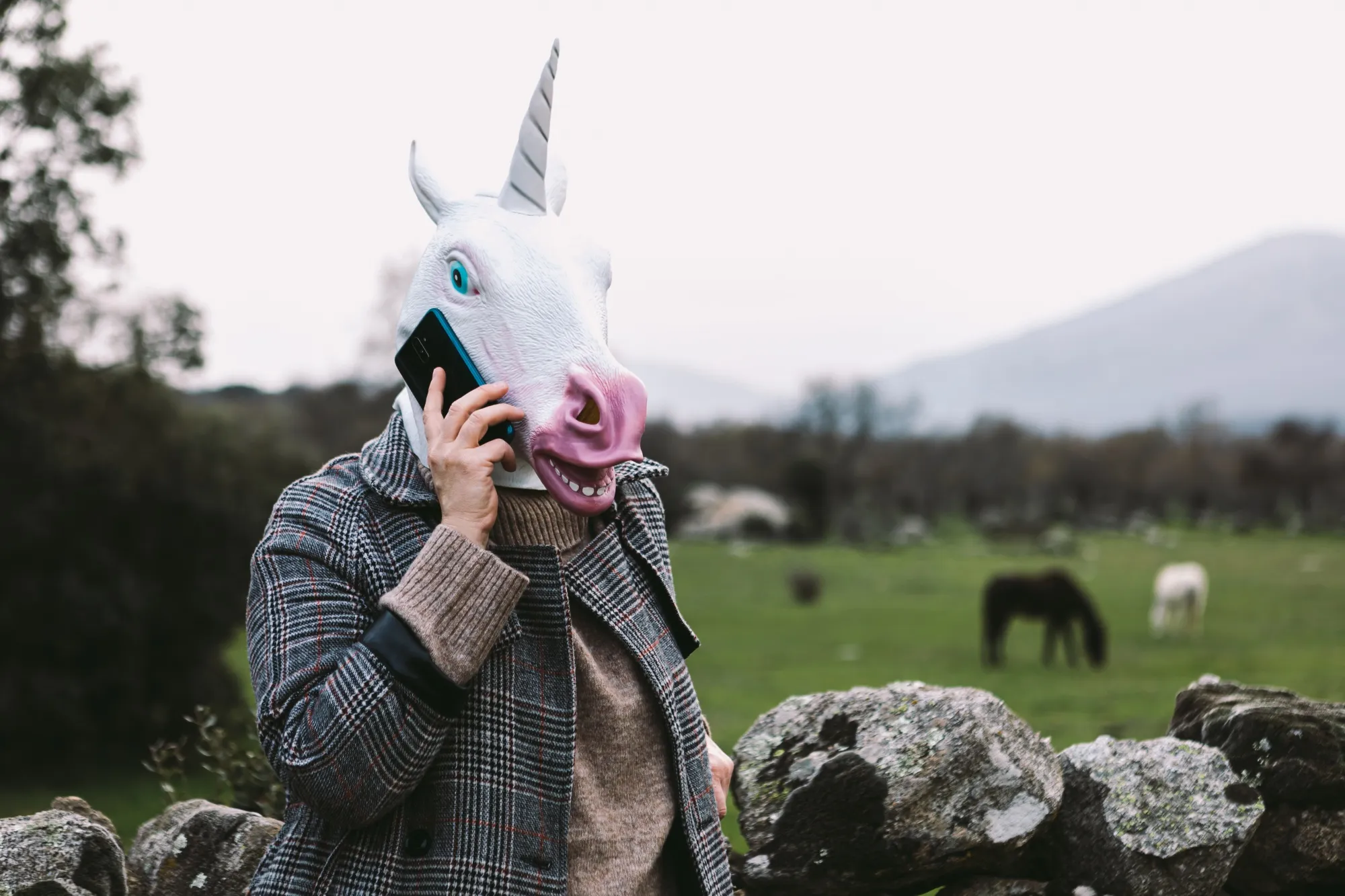 There’s a growing market for unicorns.