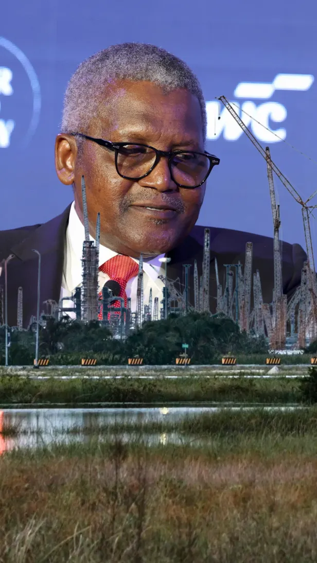 Watch Africa’s Biggest IPO       Sparks Investor Frenzy in Dangote’s Nigeria