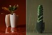 Bold Indoor Plant and Pot Combos That Are Living Works of Art