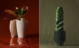 Bold Indoor Plant and Pot Combos That Are Living Works of Art