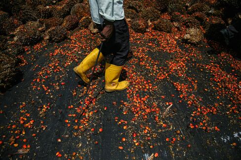 Malaysia's Palm Oil Futures Extend Losses