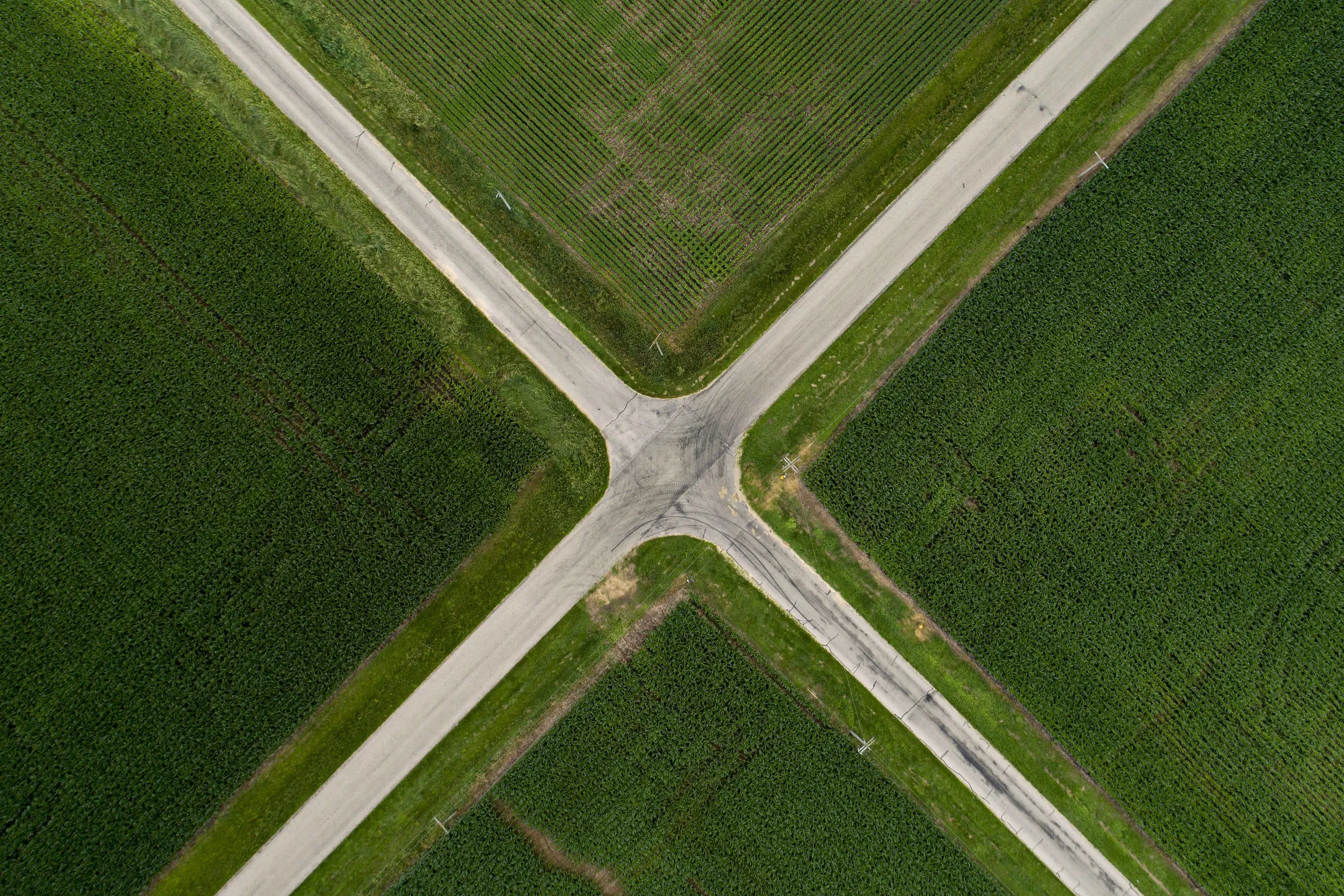 Soybeans And Corn As U.S.-China Trade Spat Means Crops Get Cheaper