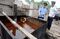 Police inspect illegal cooking oil, bett