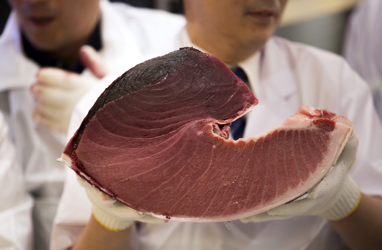 Мясо есть запретят. Тунец мясо. Тунец цвет мяса. Цвет тунца.
