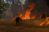Calfire Conducts Prescribed Burn In Groveland