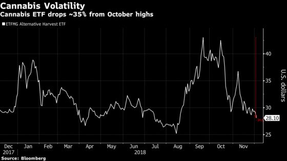 Cannabis Shorts Gain After Tilson Conference Despite Expense