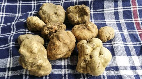If the truffle farm doesn't work out, you can always buy truffles at the Regalis Foods website.