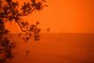 Australia’s Vast Wildfires Foretold in 2007 UN Climate Warning