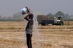 A farmer pours water on himself during a recent heat wave&nbsp;in the Ludhiana district of Punjab, India.&nbsp;