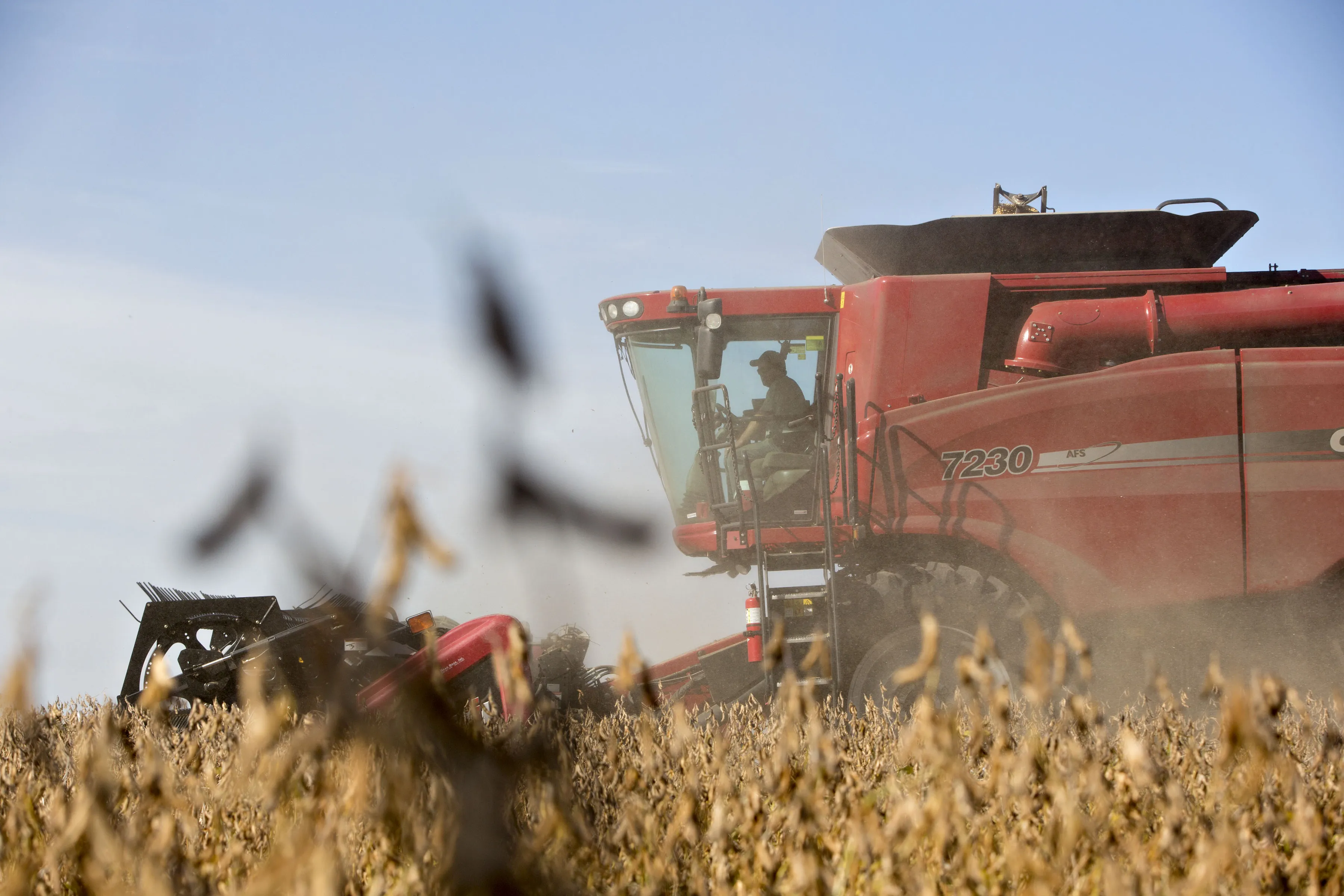 Trump Greenlights Next Round of Farm Payments in China Trade War ...