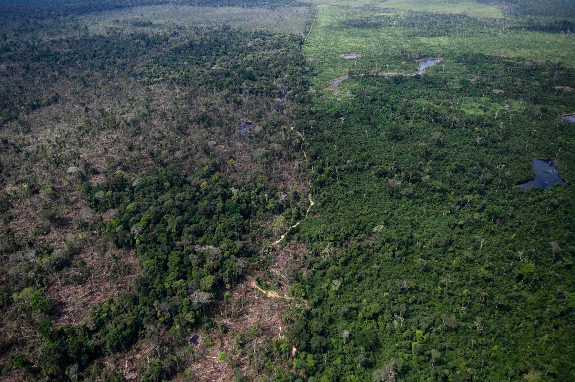 A deforested area of the Amazon rainforest in Amazonas State, Brazil, in 2022.