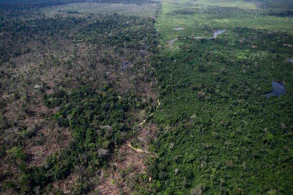 BRAZIL-AMAZON-RAINFOREST-DEFORESTATION