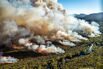 Bushfires in Tasmania