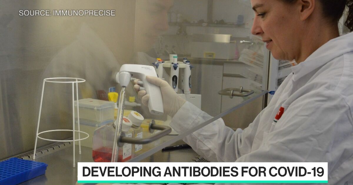Developing Antibodies for Covid-19