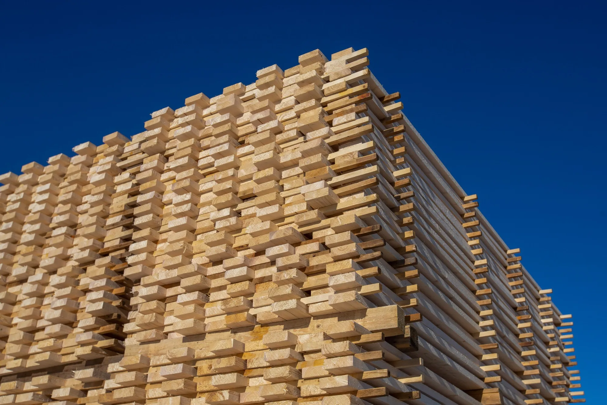 Cross Laminated Timber Production at New Segezha Group Plant