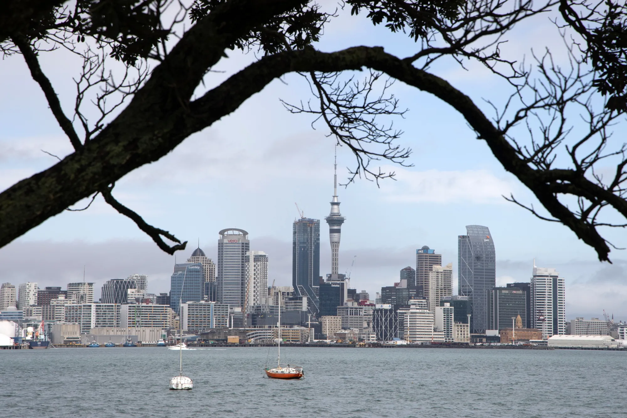 New Zealand Pushes Banks to Report on Climate Risks From 2023 - Bloomberg
