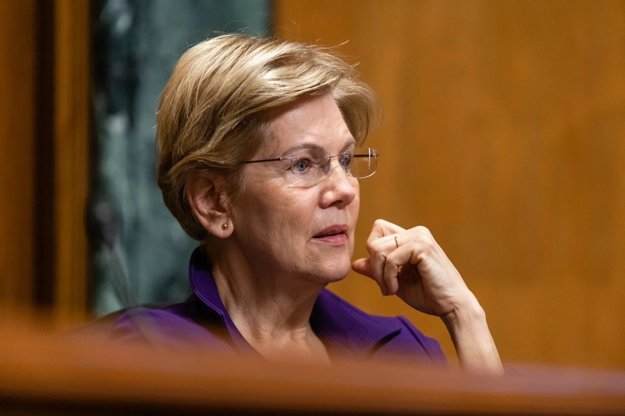 Senator Elizabeth Warren&nbsp;