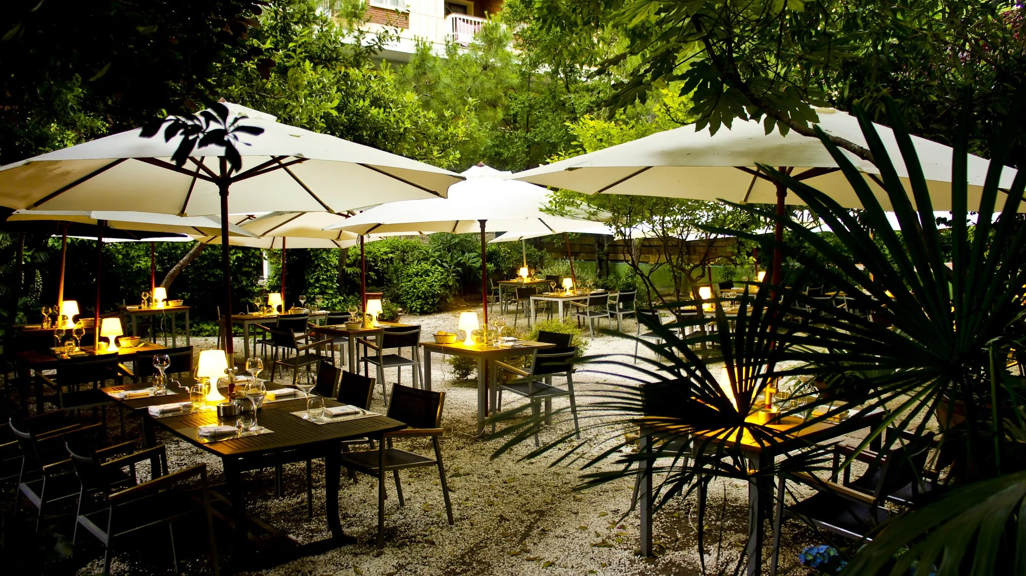 The terrace at Sacha, a culinary landmark in Madrid since 1971.&nbsp;
