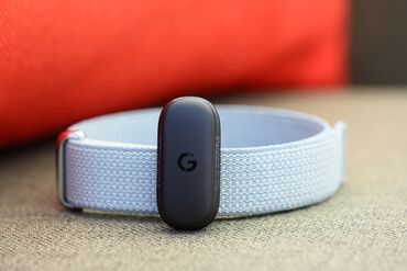 Google Fitbit Air
