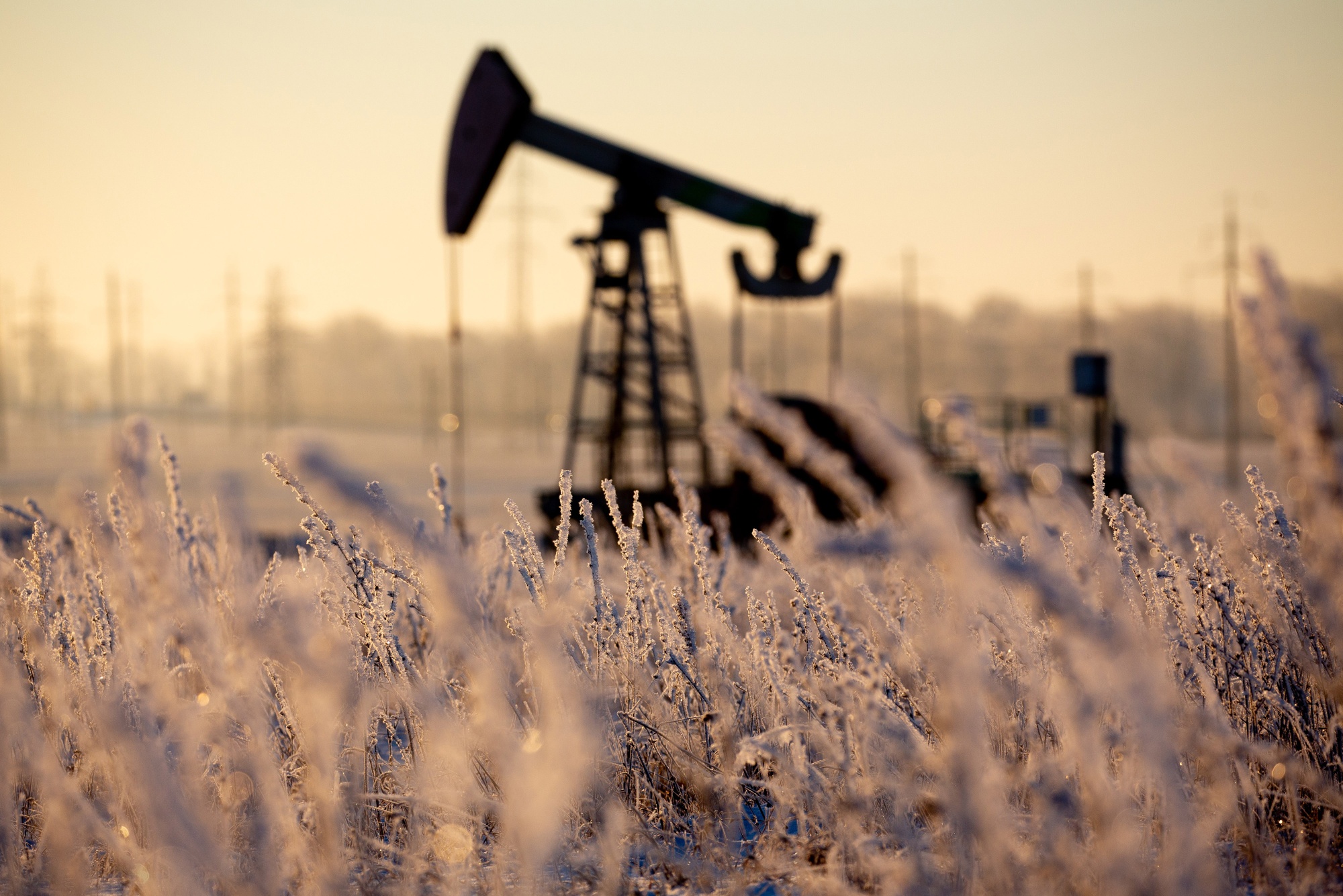 Russian Fuel Exports Climb on Bigger Diesel and Naphtha Flows - Bloomberg