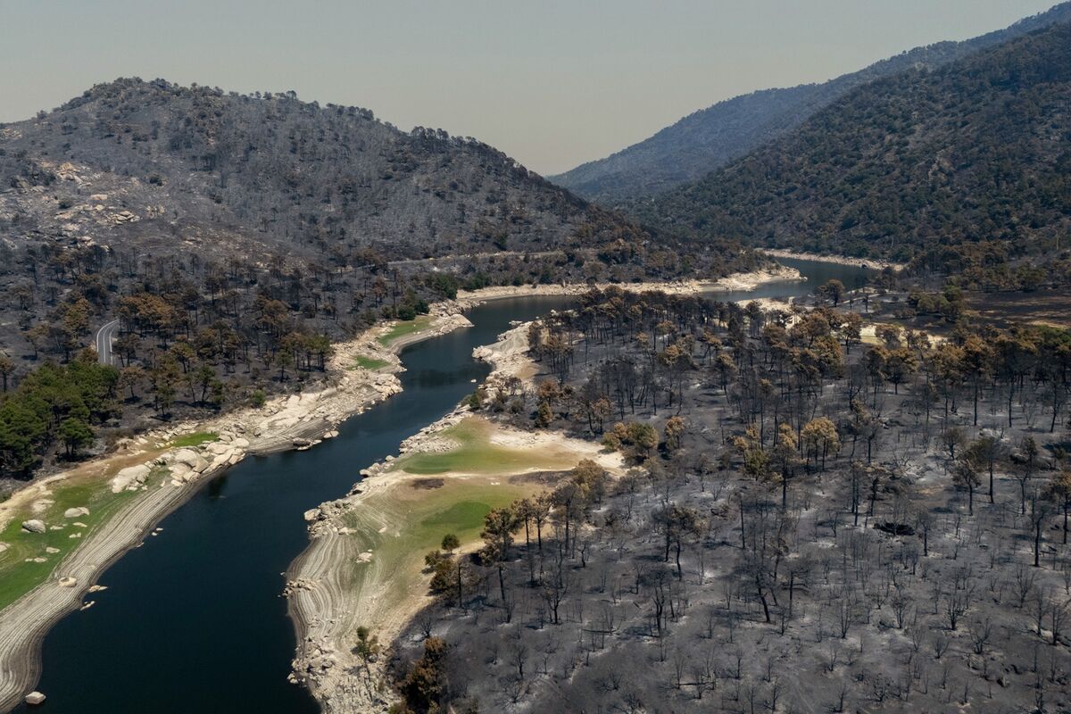Europe Wildfires: France, Spain Count Cost of Climate Change, Extreme Heat