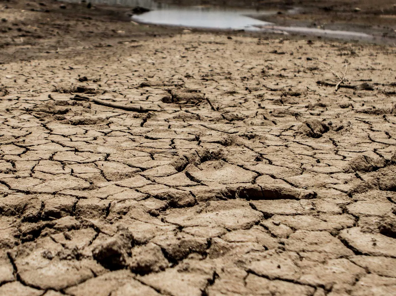 ZIMBABWE-DROUGHT-FOOD-DISASTER