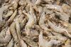 Shrimp are displayed for sale inside a Vanguard hypermarket, operated by China Resources Enterprise Ltd., in Shanghai, China, on Tuesday, Aug. 7, 2018. With trade tensions between the U.S. and China seeming to worsen by the day, mainland companies selling everything from handbags to fresh food are boosting their attempts to cultivate local demand.