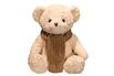 Screenshot of the Teddy Kumma listed for sale on the FoloToy website.