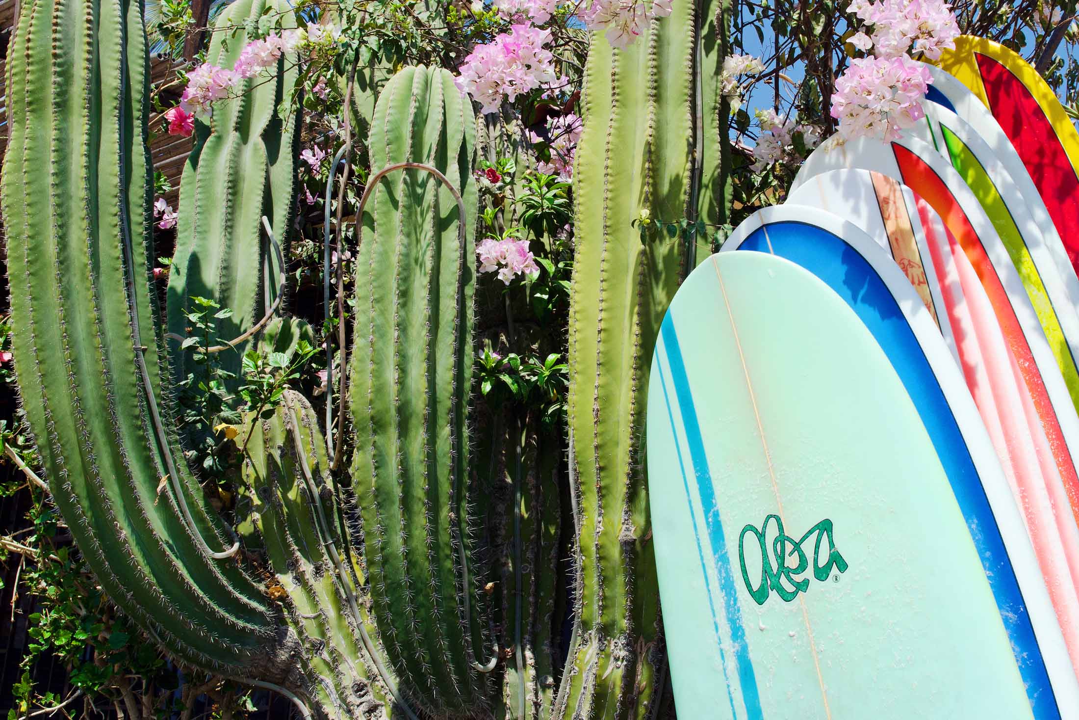 These Amazing Surfing Spots Are Worth the Journey Bloomberg