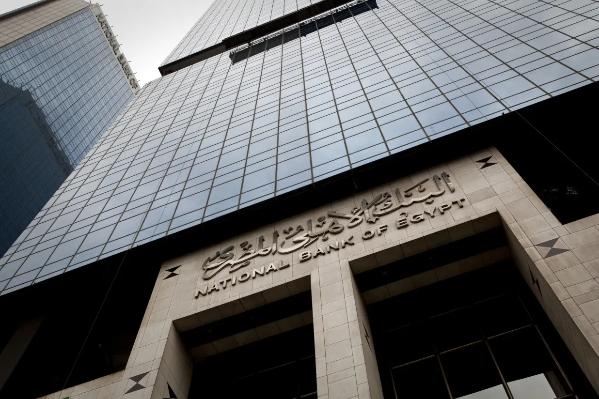 Cairo Central Bank Chairman Tarek Amer Interview