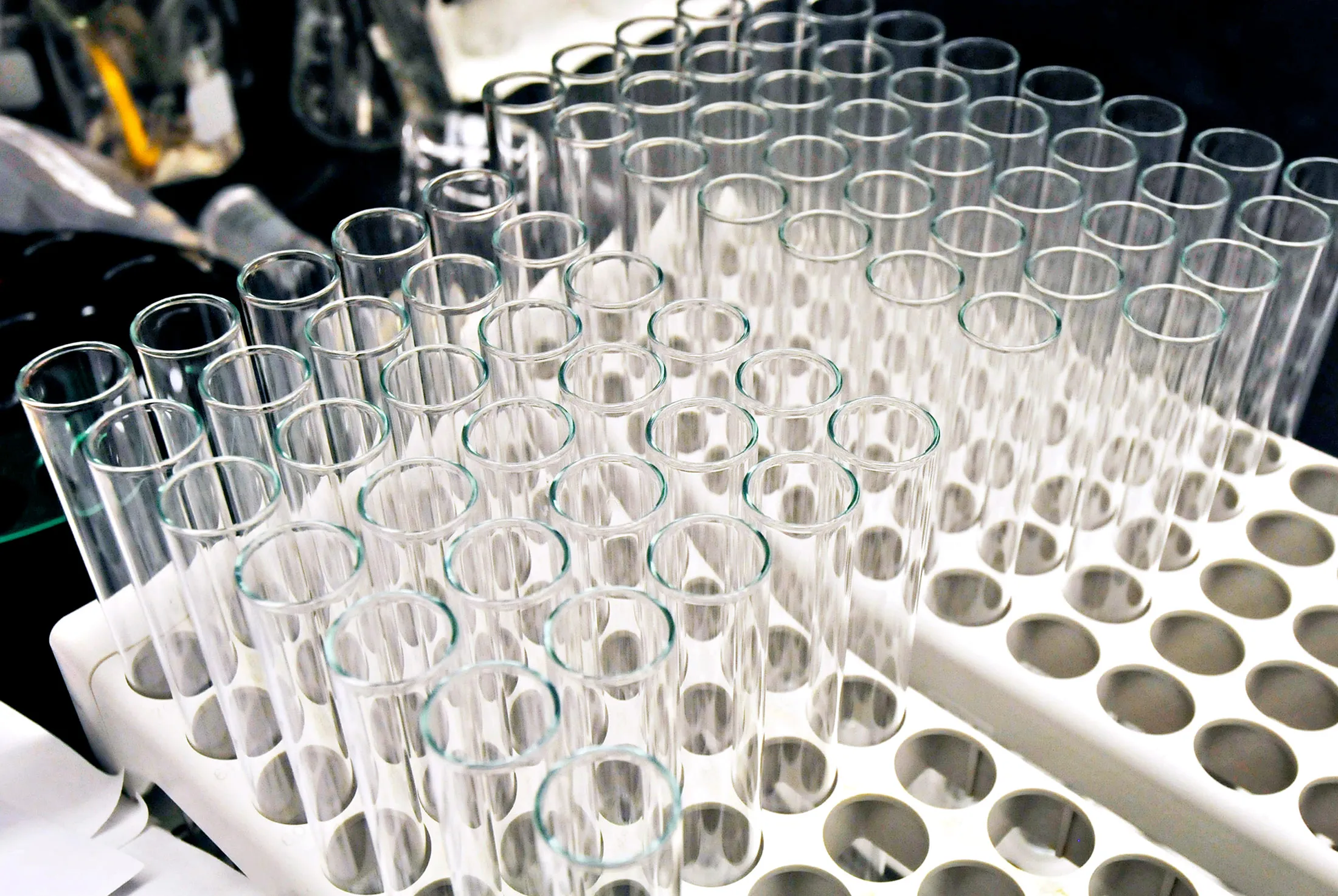 A tray of beakers wait to be filled at a lab.
