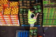 Inside New Covent Garden Fruit And Vegetable Wholesale Market