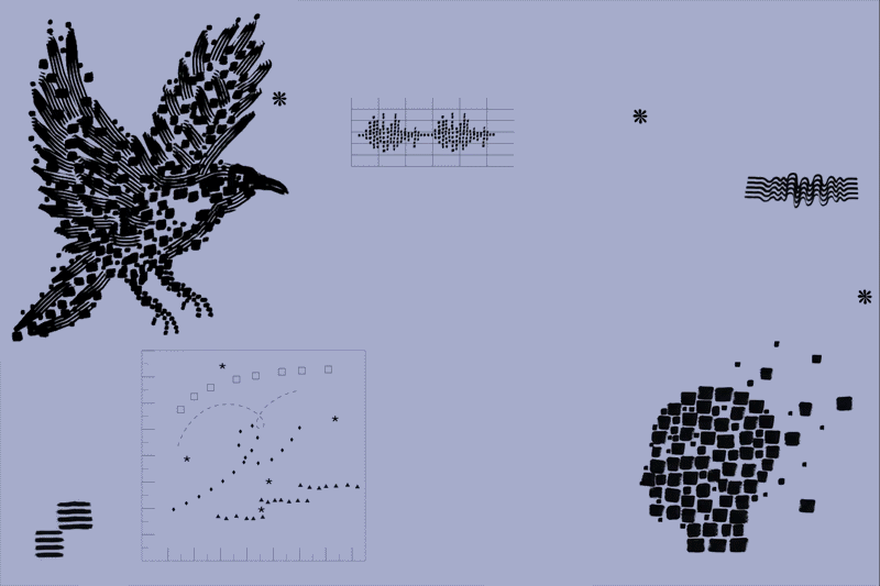 AI’s next ethical minefield: talking to animals.