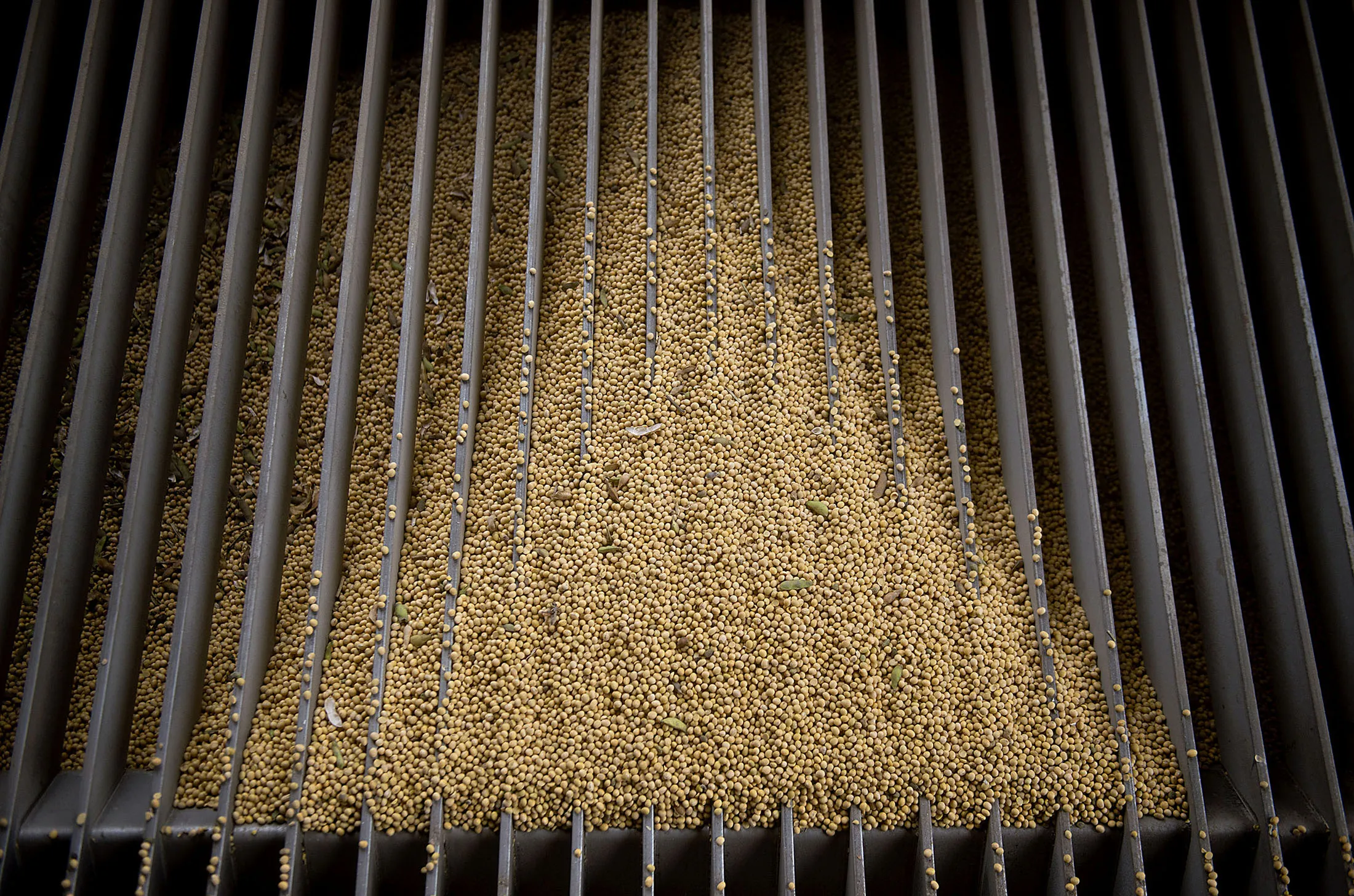 Grain Elevator Views As Soybeans Advance On U.S. Exports