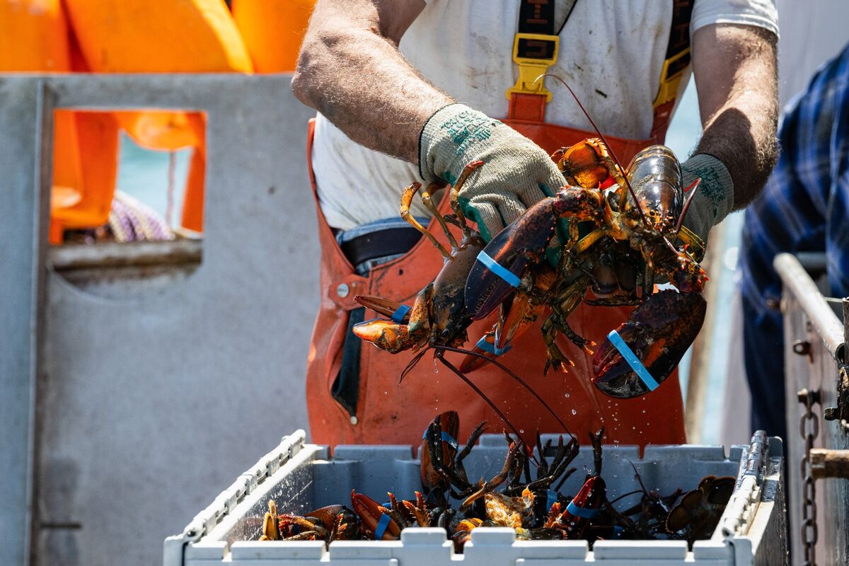 bloomberg.com - Curtis Heinzl - Maine, Alaska Catch Economic Break as Canada Drops Fish Tariffs