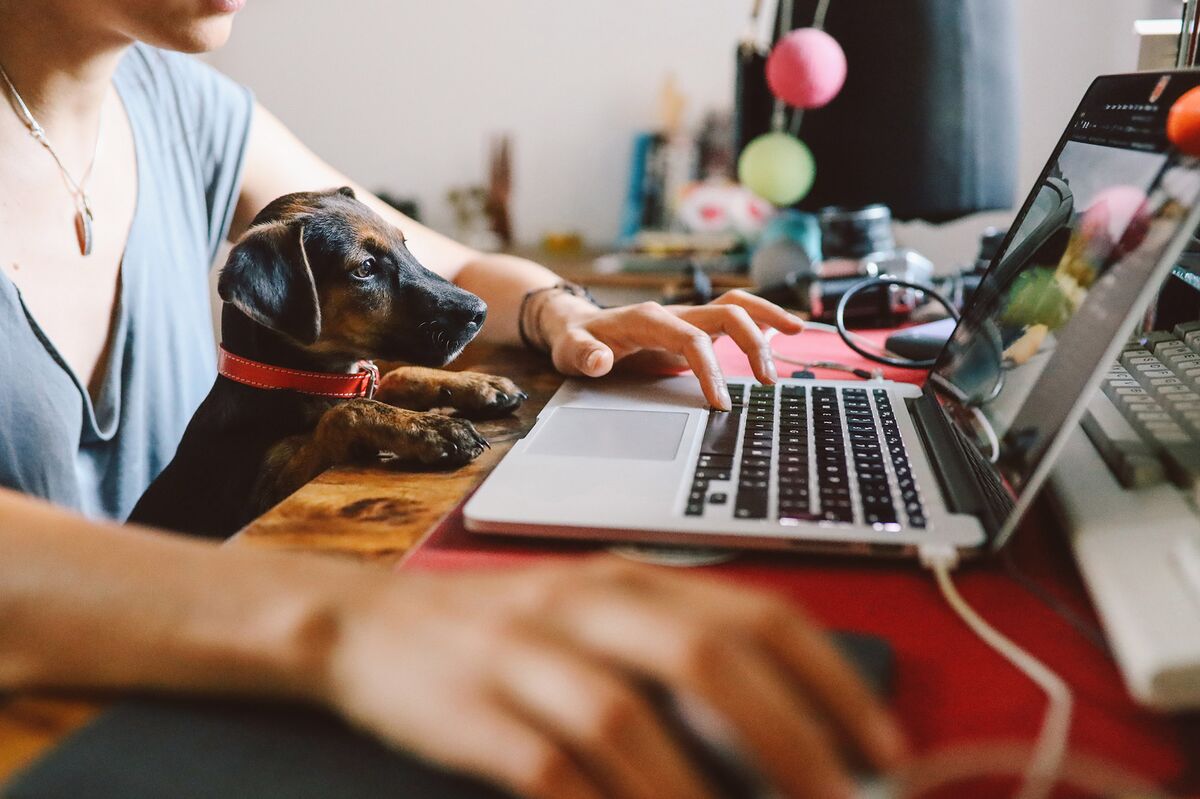 Working From Home Isn’t Worth Less Pay for Most Europeans